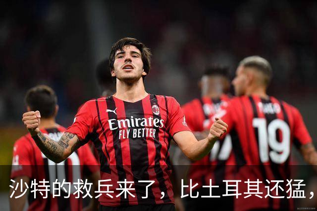 沙特的救兵来了，比土耳其还猛，中方已仁至义尽，红海浑水不能蹚